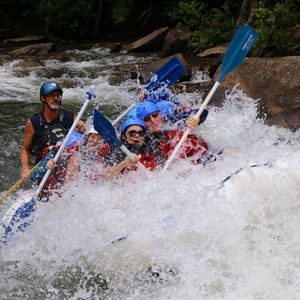 Meet your Posher, Robin